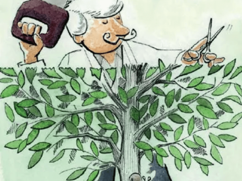 43. Un plan de gasto público sin ingresos. ¿La austeridad alcanza?&nbsp;(blog)