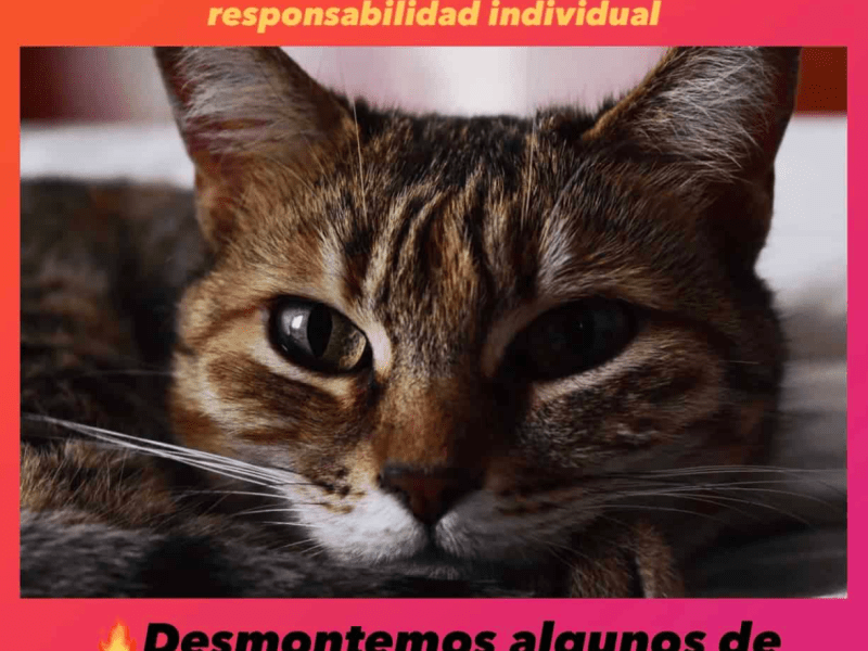 67. Comer bien: Mitos y realidades de una posibilidad desigual&nbsp;(Blog)