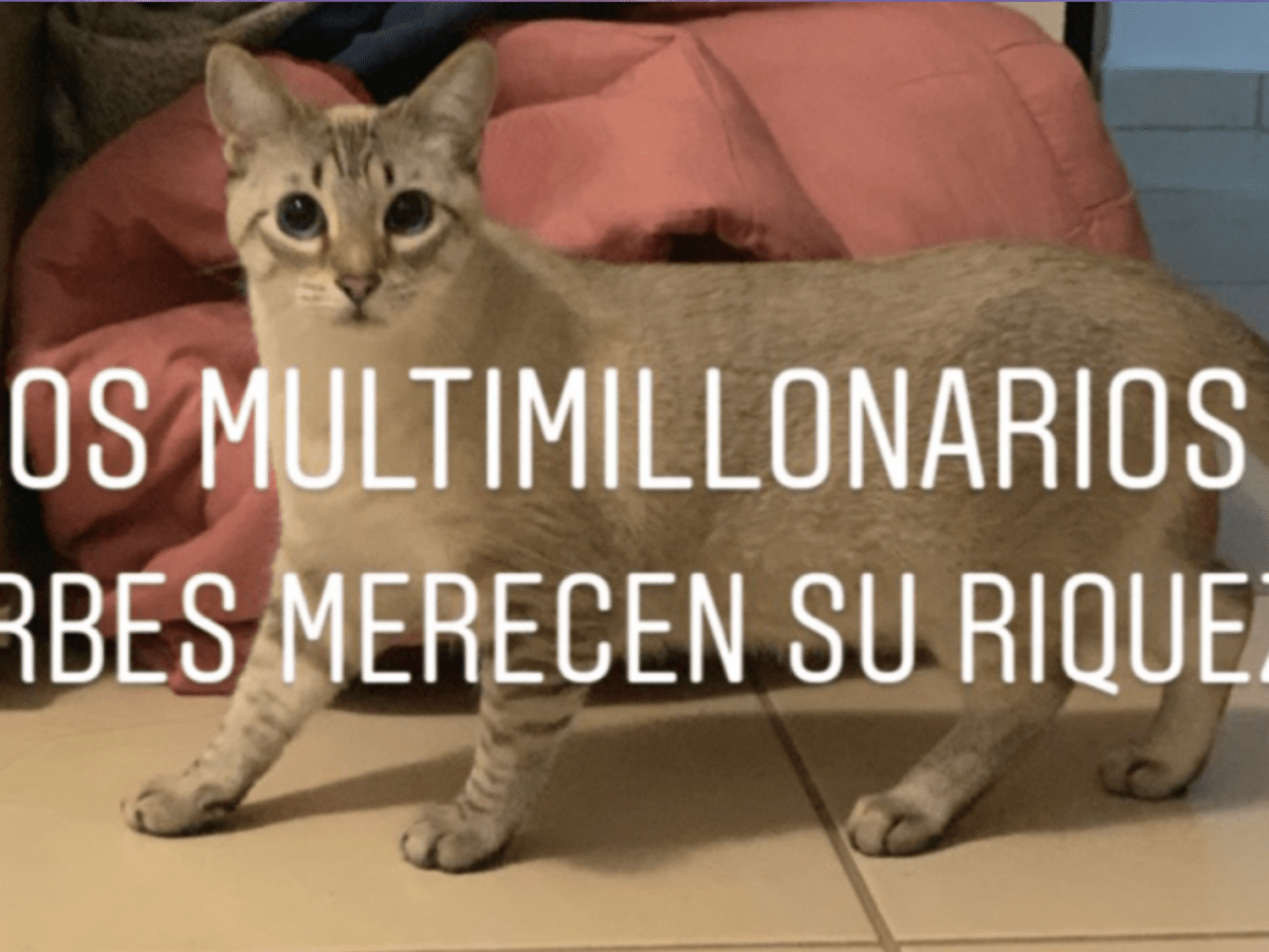 58. ¿Los multimillonarios en Forbes merecen su riqueza?&nbsp;(Blog)