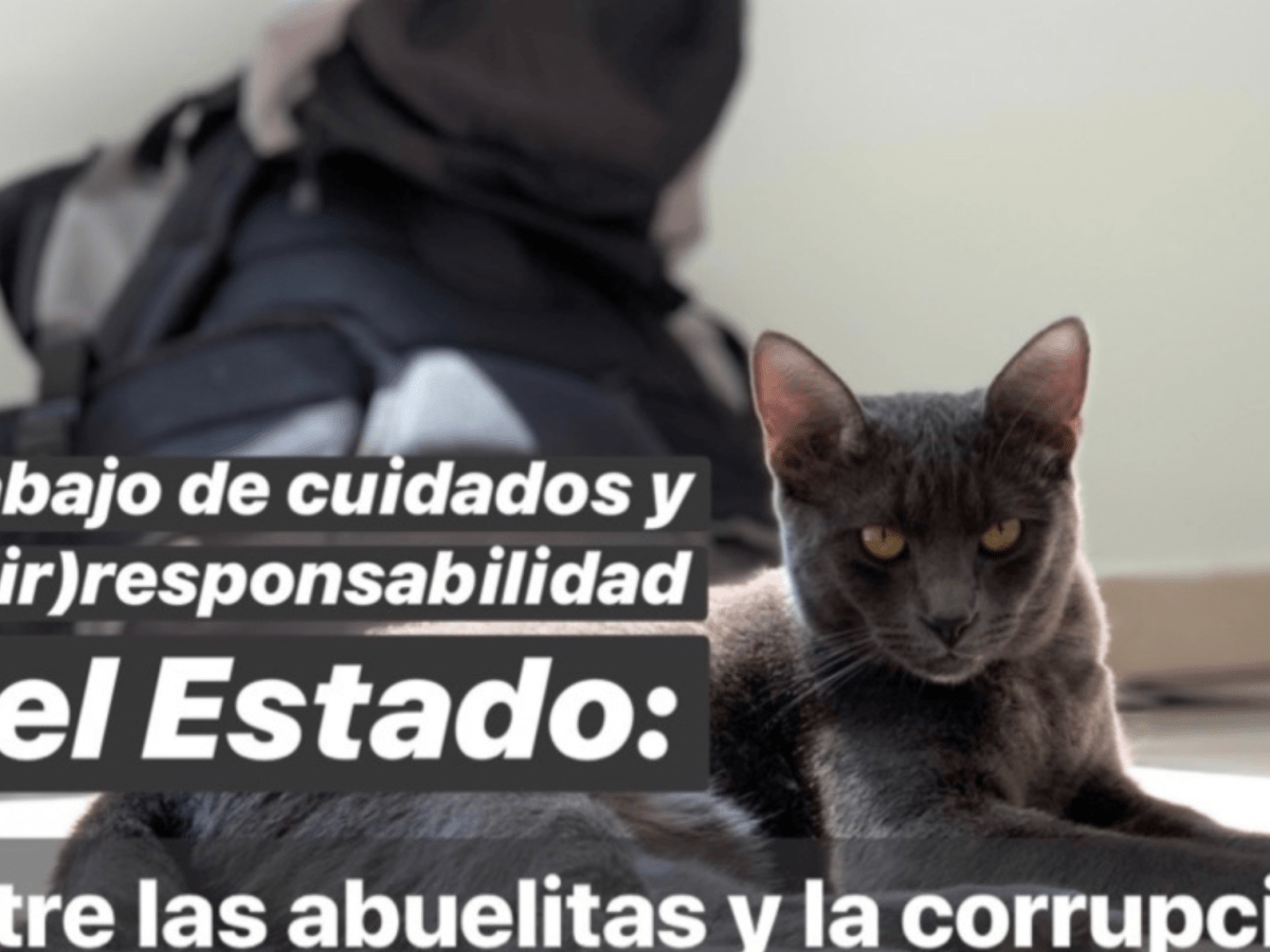 55. Trabajo de cuidados y la (ir)responsabilidad del Estado: Entre las abuelitas y la corrupción&nbsp;(Blog)
