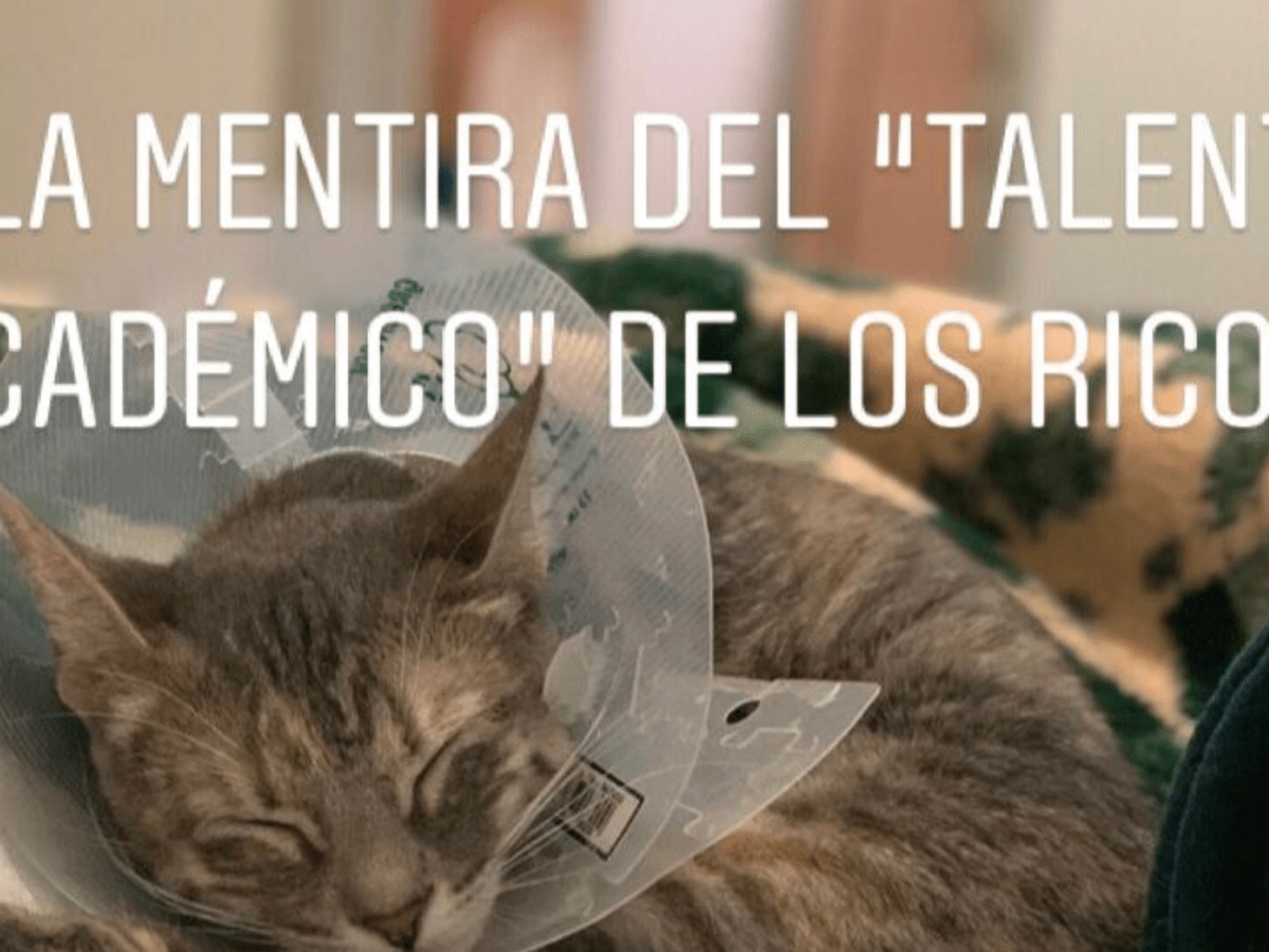 59. La mentira del “talento académico” de los ricos&nbsp;(Blog)