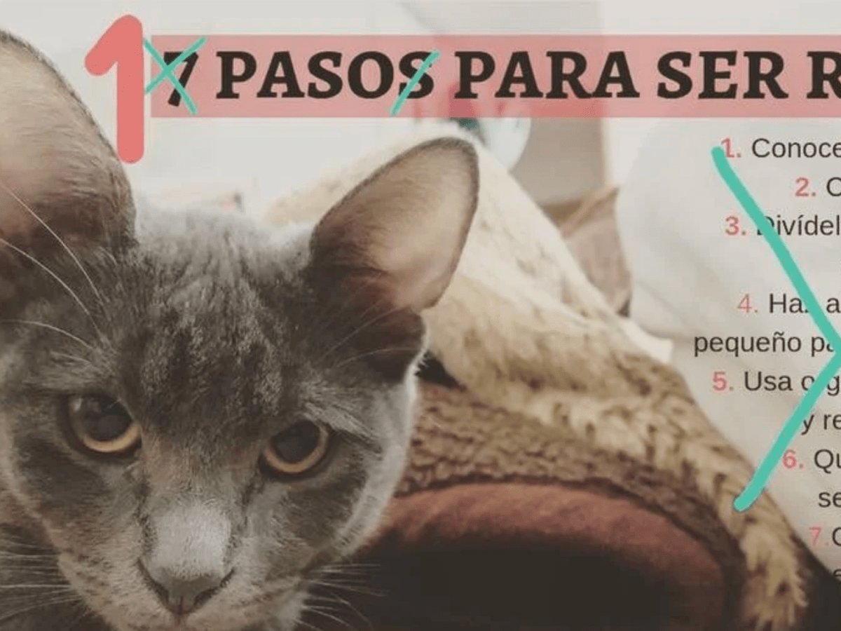 57. Para llegar a ser rico hay que… Nacer rico&nbsp;(Blog)