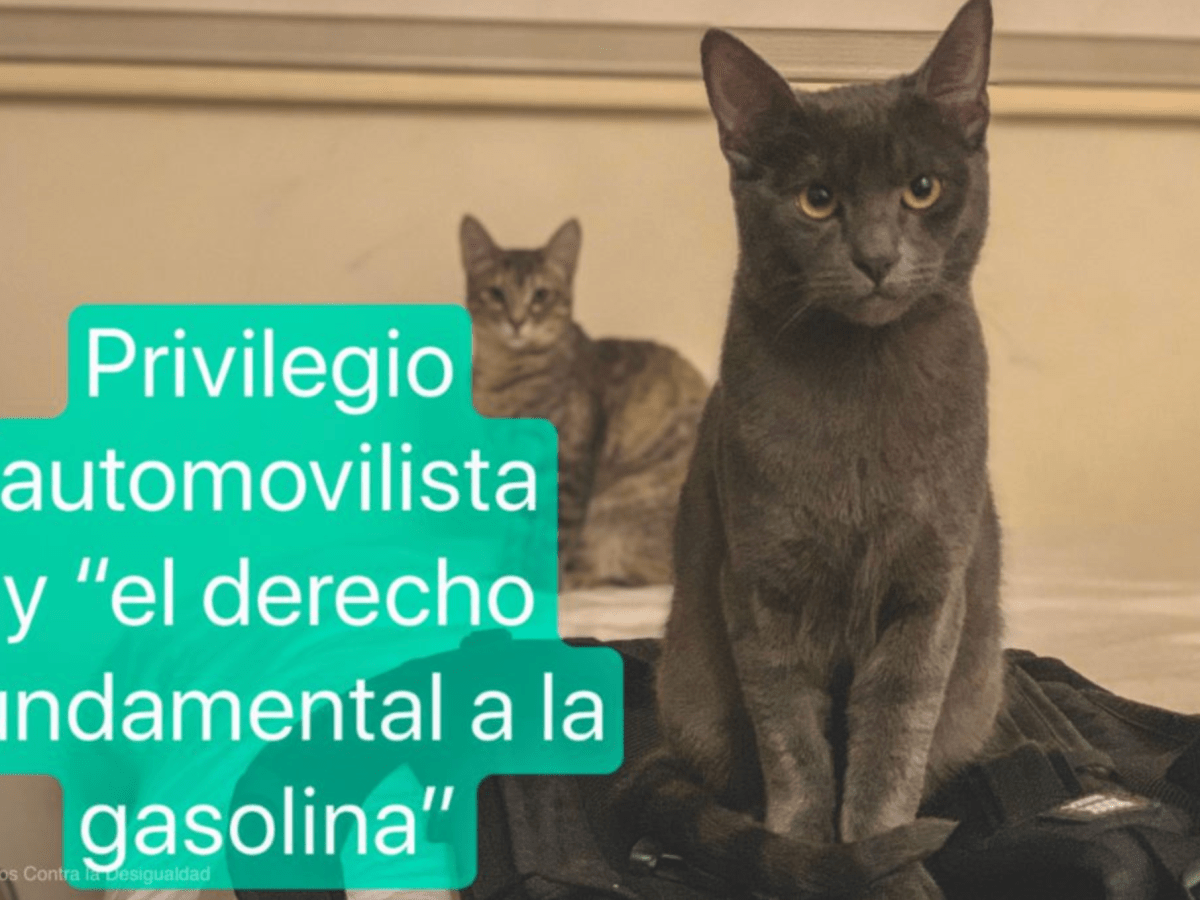 56. Privilegio automovilista y “el derecho fundamental a la gasolina”&nbsp;(Blog)