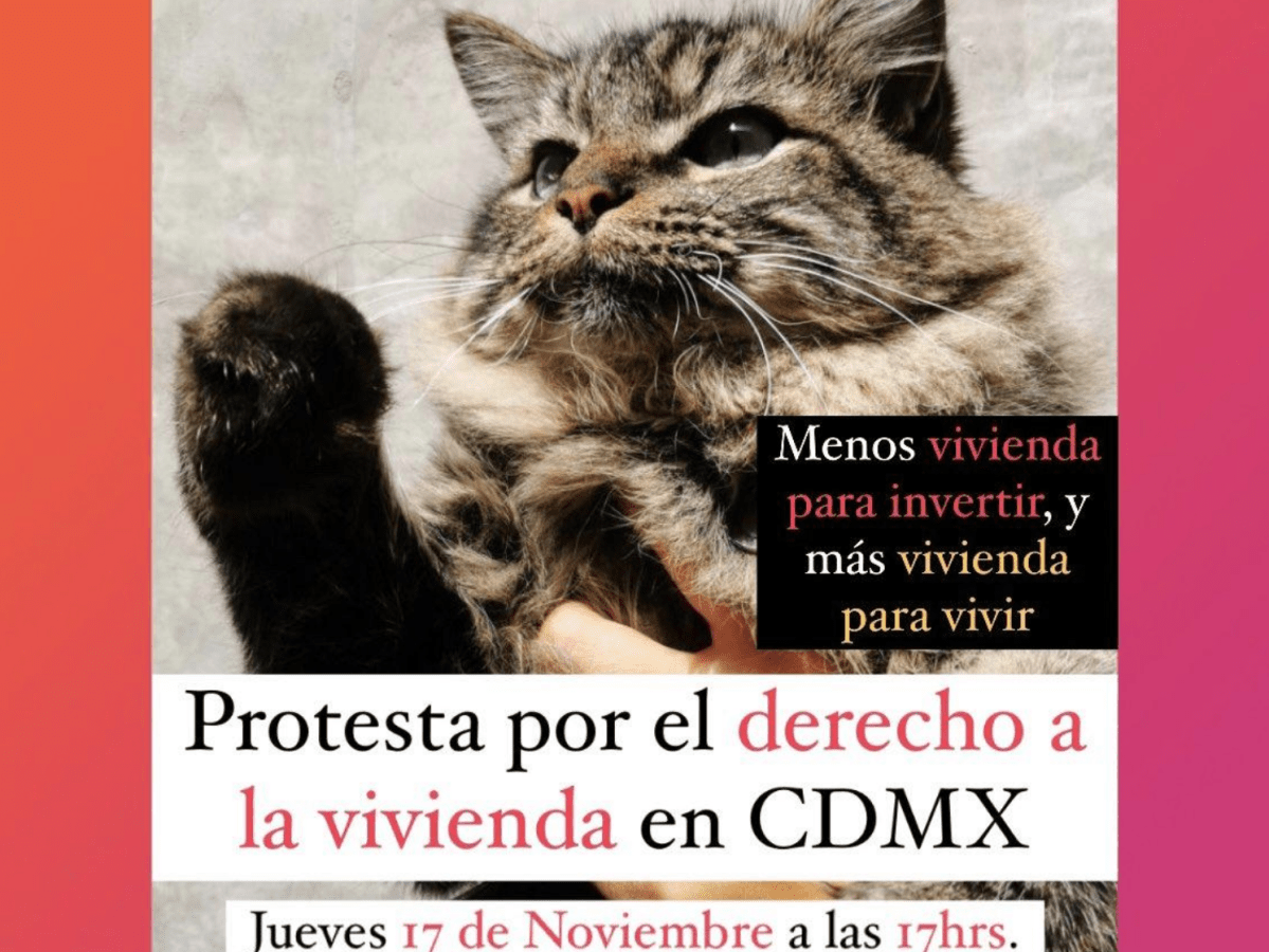 91. Protestar por el derecho a la vivienda en Ciudad de&nbsp;México